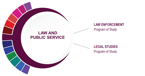 Law and Public Service